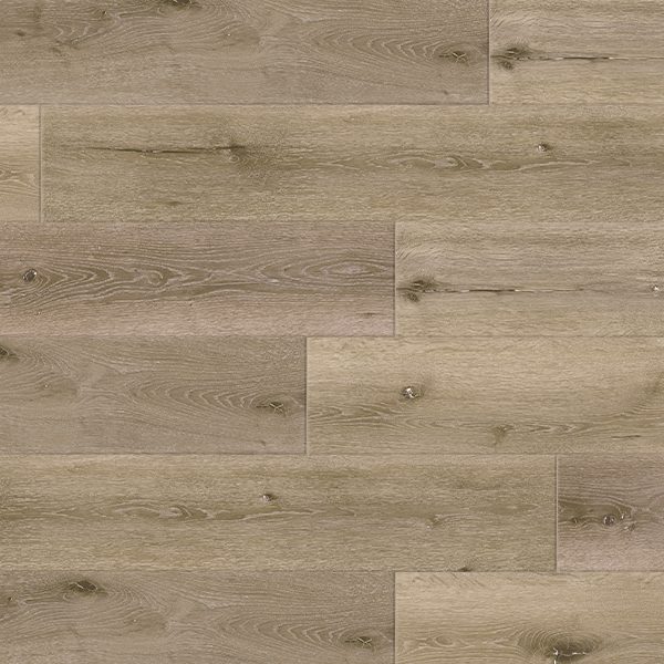 Foreste Scorace
